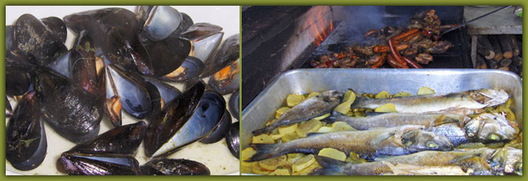 Idee di Pesce